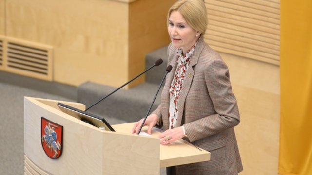 Lietuvoje viešinti Ukrainos politikė dėkoja už paramą, tačiau išskyrė kitą aspektą: įvardijo kelias problemas