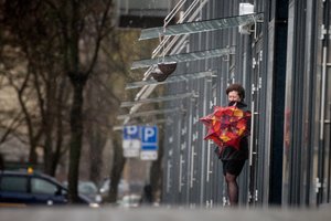 Lietų ir griaustinį lydės sustiprėjęs vėjas: kai kur gūsiai pasieks 20 m/sek.