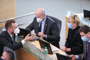 Partiniuose reitinguose aiškios favoritės: konservatoriai įstrigo trečioje vietoje