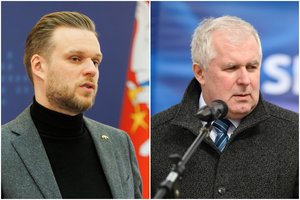 Lietuvos politikai sveikina Suomijos sprendimą tapti NATO nare: G. Landsbergis ir A. Anušauskas išskyrė, kuo tai ypatingai svarbu
