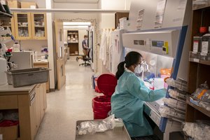 Baltieji rūmai: mirčių nuo COVID-19 skaičius JAV viršijo milijoną