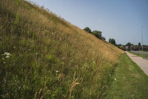 Vilniuje atsisakoma masinio šienavimo: tikina, kad tai gyventojams nepatogumų nesukels