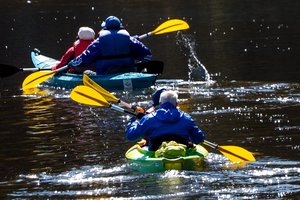 Bjaurisi poilsiautojų elgesiu: gamtoje jie – lyg netramdomi gyvuliai, rengia lėbautojų vakarėlius