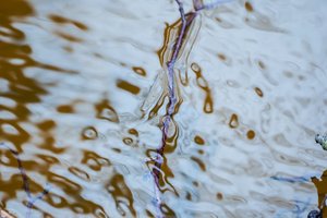 Bandydamas pasprukti nuo aplinkosaugininkų perplaukė upę: išsisukti vis tiek nepavyko