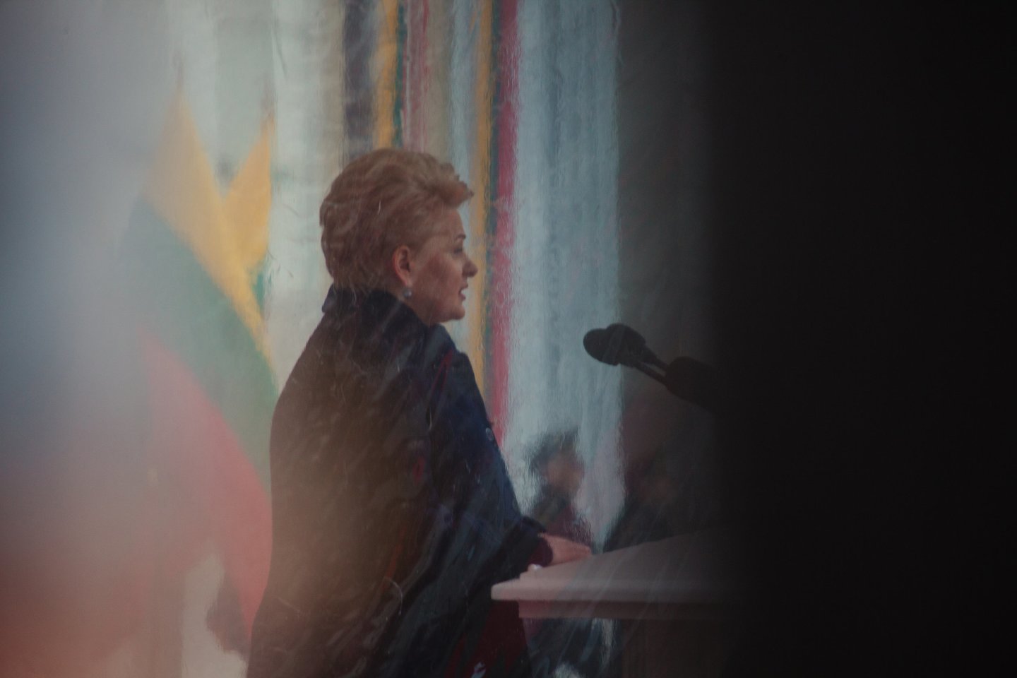 Dalia Grybauskaitė.<br>123rf nuotr.