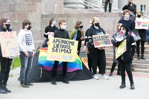 Teisės ekspertas – šeimų diskriminacija pažeidžia Konstituciją