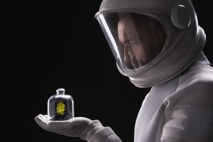 Netikėta: Mėnulio grunte sudaigino augalus