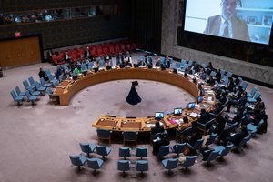 JT Saugumo Taryba pasmerkė „al Jazeera“ žurnalistės nužudymą