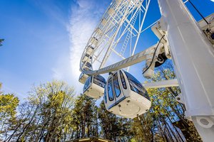 Naujojo apžvalgos rato Palangoje vertė siekia net kelis milijonus: suskaičiavo, kiek gali tekti pakloti už pramogą