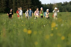 Norėję vaikus užregistruoti į pigesnes vasaros stovyklas liko nieko nepešę: vietų neliko akimirksniu