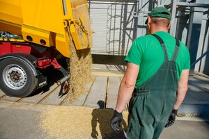 Verslai net bijo prognozuoti, kokias grūdų kainas matysime toliau: vien per metus jie pabrango kone dvigubai