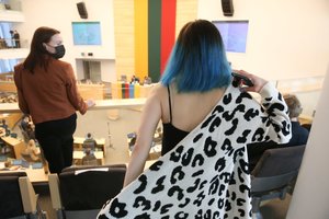 Balsų matematika paremtas dar vienas bandymas įteisinti partnerystę nelabai tenkina ir pačius „laisviečius“