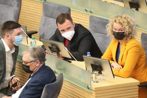 Laukiant Partnerystės įstatymo pateikimo – netikėtumas: valdantieji pristatys Civilinės sąjungos projektą