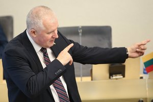A. Anušauskas: partijų susitarimą dėl gynybos konkretizuos Vyriausybė
