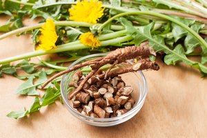 Kiaulpienių medus ir šaknų gėrimas: nepraleiskite progos pasisemti jėgų iš gamtos