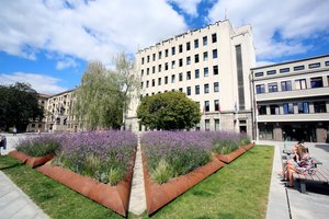 Po Seimo komisijos kreipimosi STT vertins galimas korupcijos rizikas Kauno miesto savivaldybės viešųjų pirkimų srityje