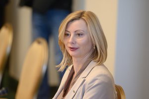 R. Tamašunienė apie civilinės sąjungos iniciatyvą: ta pati panelė, tik kita suknelė