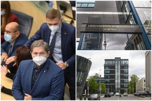 Valstietis E. Jovaiša apsigyvens Seimo rūmuose