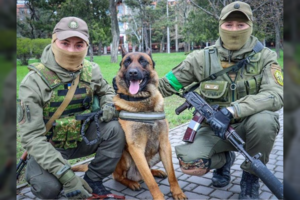 Rusų okupantų Ukrainoje paliktas tarnybinis šuo padės ukrainiečių kariams