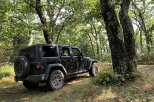 Už pasivažinėjimą miško paklote teks susimokėti: pažeidimus paviešino patys pažeidėjai