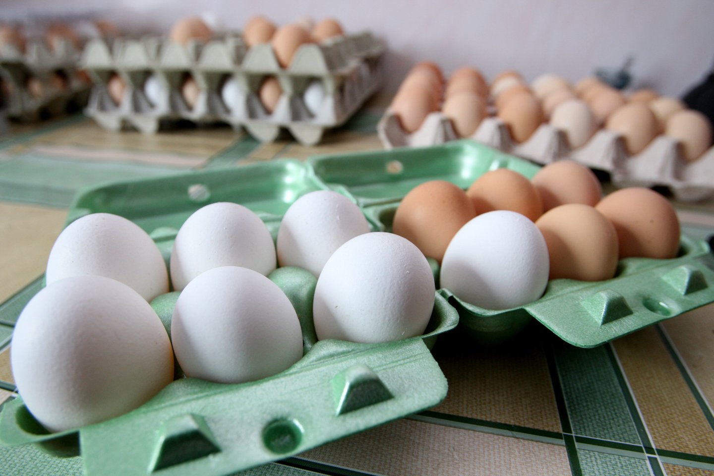 Dešimties kiaušinių kaina pirkėją suglumino.<br>R.Jurgaičio nuotr.