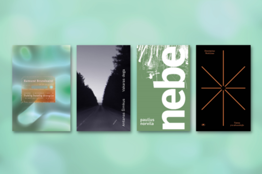 Poezijos pavasarį – naujos A. Šimkaus, R. Brundzaitės, P. Norvilo ir D. Norkūno eilėraščių knygos 