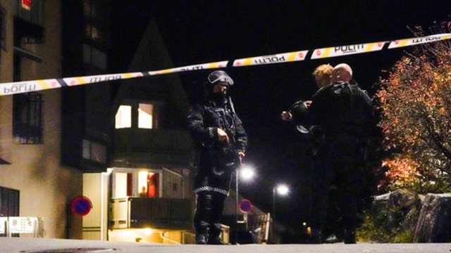 Norvegijoje vyras prisipažino kaltas dėl išpuolio, kurio metu šaudė iš lanko bei peiliu subadė žmones