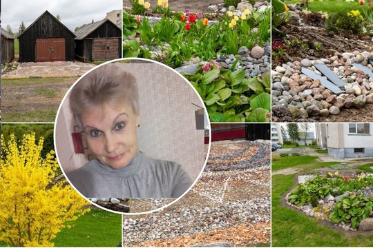 Juodupietė Laima Pikūnienė daugiabutyje adresu Tekstilininkų g. 15A gyvena daugiau nei keturiasdešimt metų ir puoselėja jo kiemą.