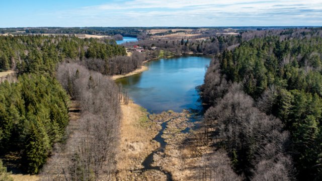 Sinoptikai praneša: lietaus tikimybė maža, tačiau pūs nestiprus vėjas