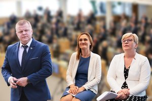 Valstietis įpykdė Seimo moteris: apie „mergaitiškus pokalbius“ leptelėjusiam D. Gaižauskui pasiūlė pažiūrėti į veidrodį