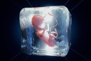 Seimas atsisakė amžino pagalbiniam apvaisinimui sukurtų embrionų saugojimo