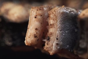 Ungurio šašlykas: paruošti lengva, o rezultatas – puikus