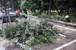 Nulūžusi medžio šaka Klaipėdos daugiabučio administratoriui gerokai pakratys kišenę: taip nusprendė teismas 