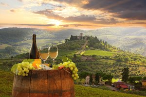 Įdomiosios istorijos vingiais: kada žmonija pradėjo gaminti vyną ir kitus alkoholinius gėrimus?