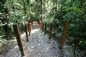 Vasaros savaitgaliams – kelionės po parkus: atkakliausiems lankytojams žada dovanas