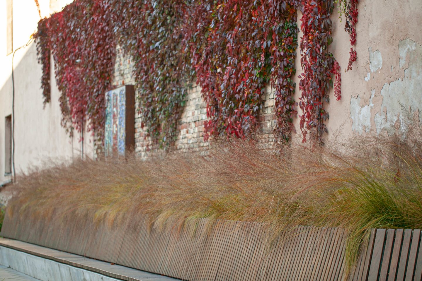 Vienu sėkmingiausių savo kūrinių kraštovaizdžio dizainerė laiko sostinėje esančio MO muziejaus kiemelį.<br>Nuotr. iš asmeninio albumo