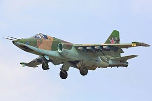 Ukrainos gvardietis „nutupdė“ Rusijos atakos lėktuvą „Su-25“