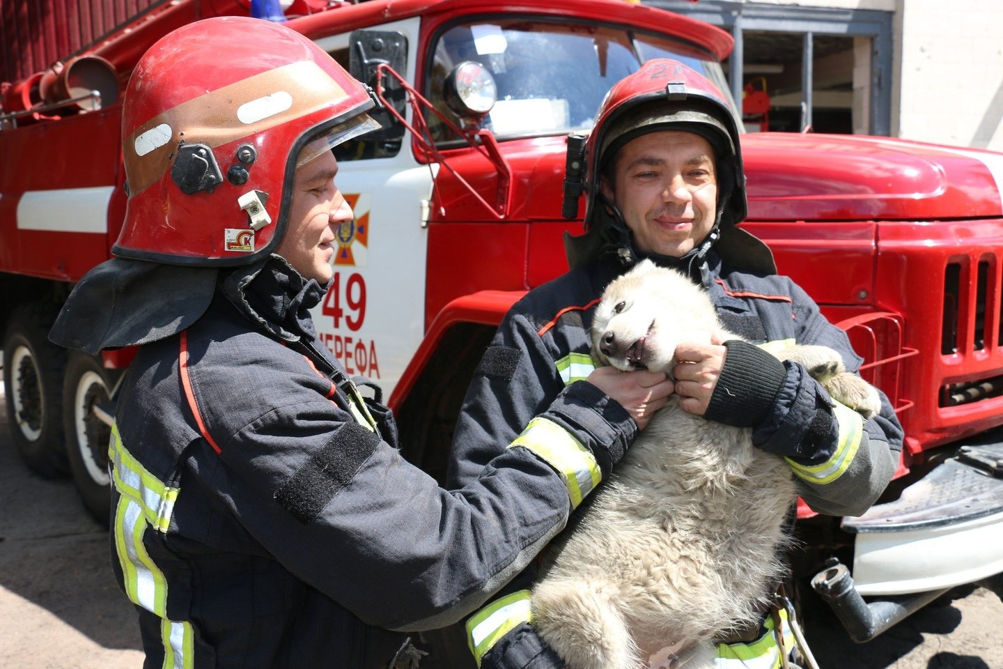 Išgelbėtas šuo liko pas ugniagesius. Jam buvo suteiktas vardas „Bayraktar“.<br> Ukrainos valstybinės pagalbos tarnybos nuotr.