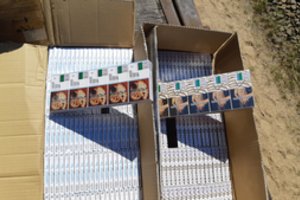 Iš Baltarusijos gabenami rūkalai pateko į muitininkų rankas – kontrabandą bandyta slėpti vagone su pieno milteliais