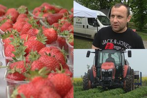 Lietuviškos braškės jau ant prekystalių, tačiau jų pirkti neskuba: žmonėms nebeužtenka pinigų