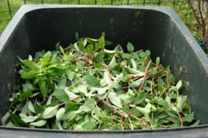 Padarius vieną klaidą, atliekų konteineris gali likti neišvežtas: tada turėsite bėdų