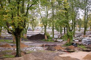 Dėl Lukiškių aikštėje numarintų liepų – kreipimasis į Vilniaus merą R. Šimašių