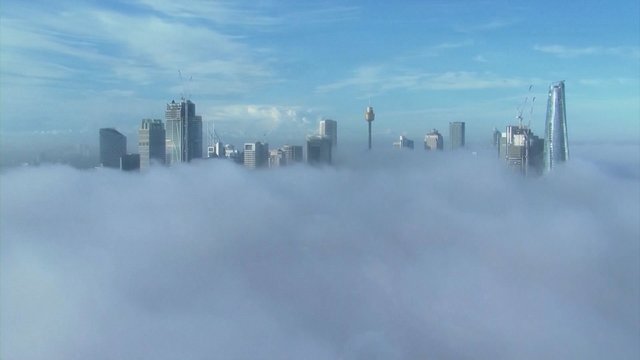 Sidnėjų apgaubė tirštas rūkas: dėl prastų oro sąlygų atšaukė dalies paslaugų teikimą