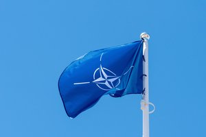NATO PA prezidentas: Aljansas parodė vienybę, kurios V. Putinas nesitikėjo