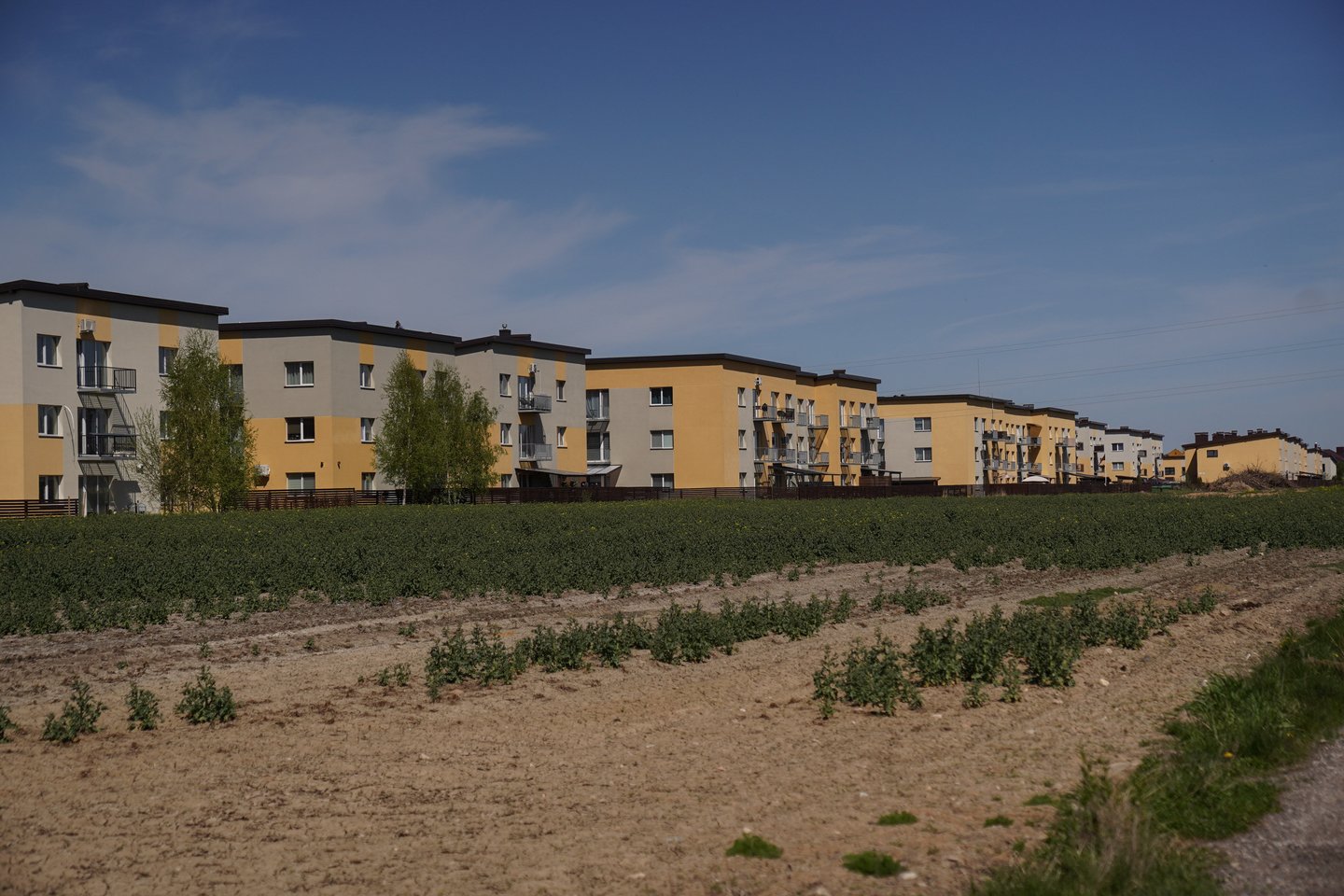 Miesto teritorijos panašesnės į kaimą, o rajono – į miestą.<br>G.Bitvinsko nuotr.