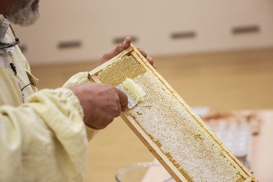 Pavasaris bitininkų nedžiugina: vėluoja medunešis, kils medaus kainos