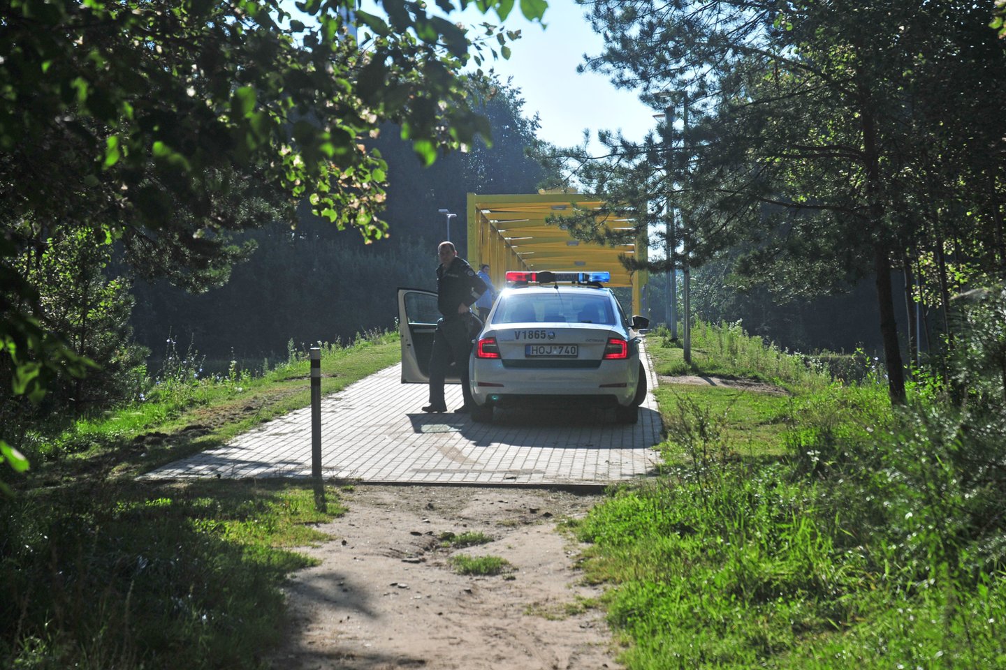  Nužudyto pensininko kūnas buvo paslėptas Jurbarko rajono miškuose. <br> A.Vaitkevičiaus asociatyvioji nuotr.