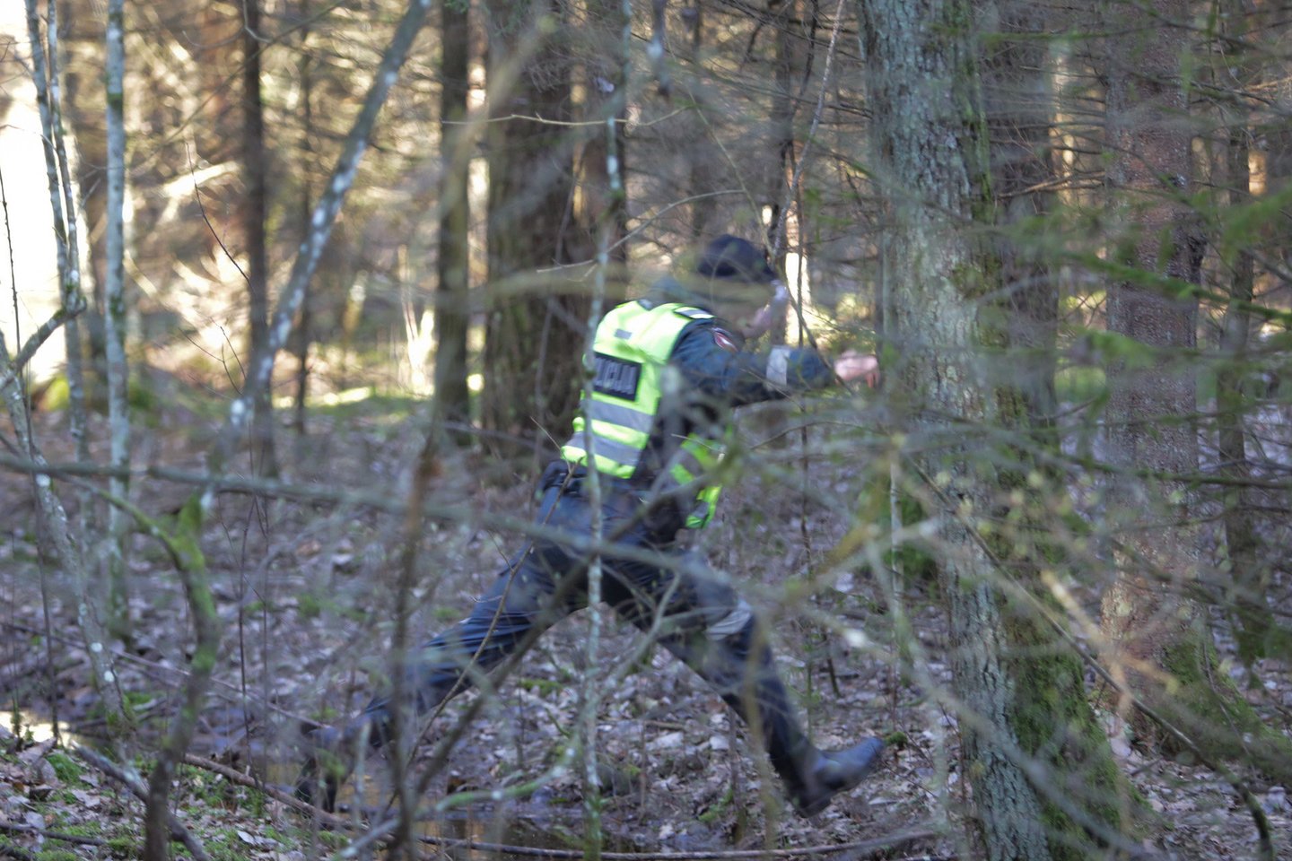  Nužudyto pensininko kūnas buvo paslėptas Jurbarko rajono miškuose. <br> G.Bitvinsko asociatyvioji nuotr. 