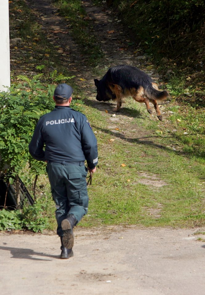  Nužudyto pensininko kūnas buvo paslėptas Jurbarko rajono miškuose. <br> A.Vaitkevičiaus asociatyvioji nuotr.