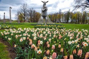 Lrytas.lt vasara su nauju projektu: rodykite, vertinkite ir išrinkime gražiausią žaliąją erdvę